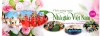 Chào mừng ngày nhà giáo Việt Nam 20/11