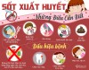 Phòng chống sốt xuất huyết
