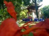 Bé lớp mẫu giáo lớn dâng hương tại Văn Miếu Quốc Tử Giám