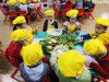 Hoạt động trải nghiệm "Bé nhặt rau" của các bé lớp B2.