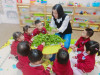 Nhận biết tập nói: Rau mùng tơi