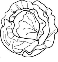 Cai 1