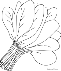 Cai