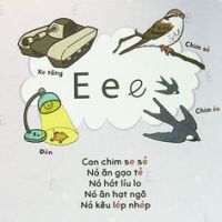 E