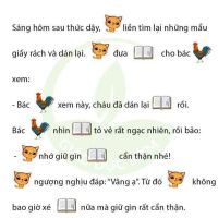 Meo Con Va Quyen Sach 2