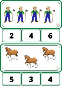 Noi 11