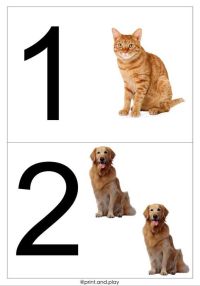 Noi 5