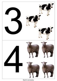 Noi 6