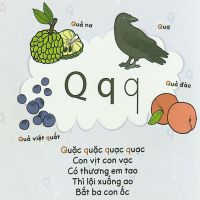 Q