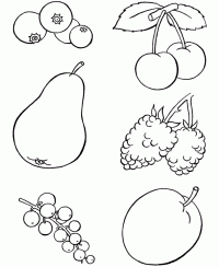 Qua 4
