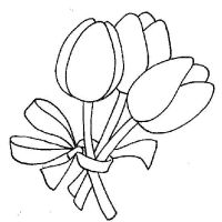 Tulip