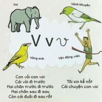 V