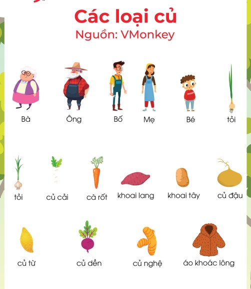các loại củ 1