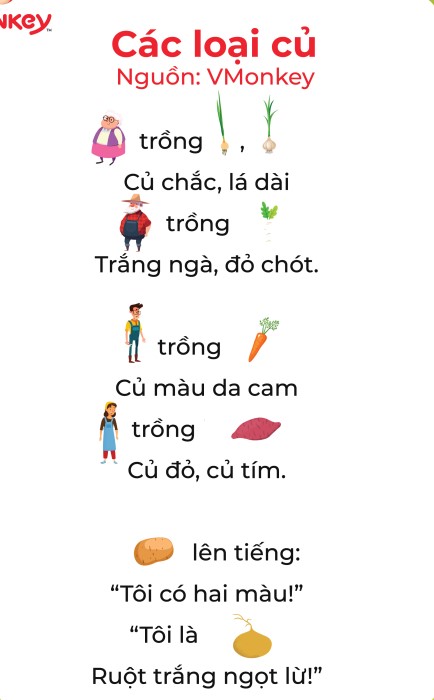 các loại củ 2