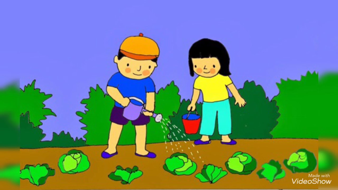 gói hạt