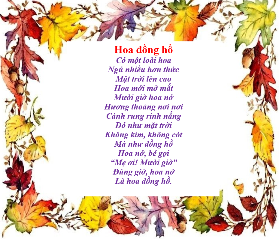 Hoa đồng hồ