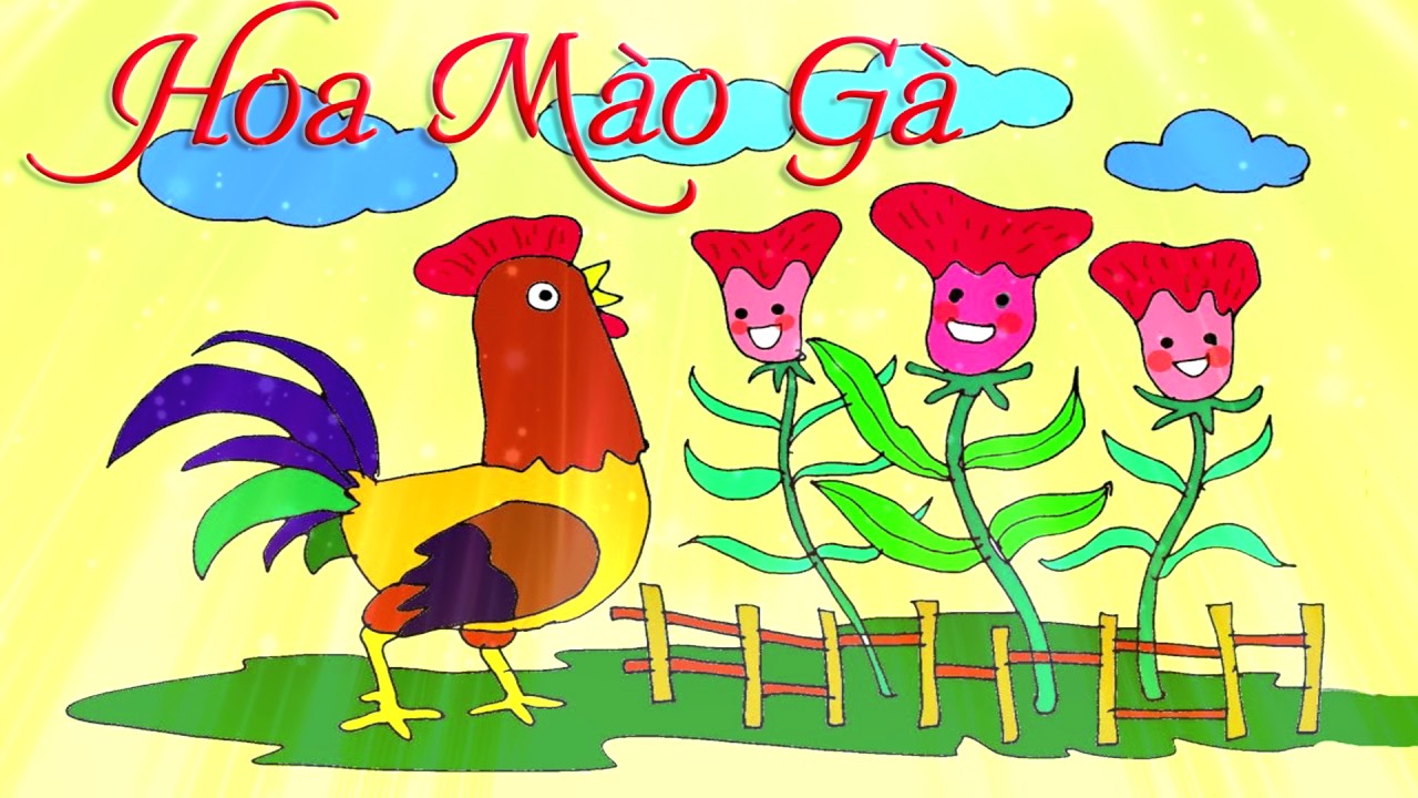 hoa mào gà