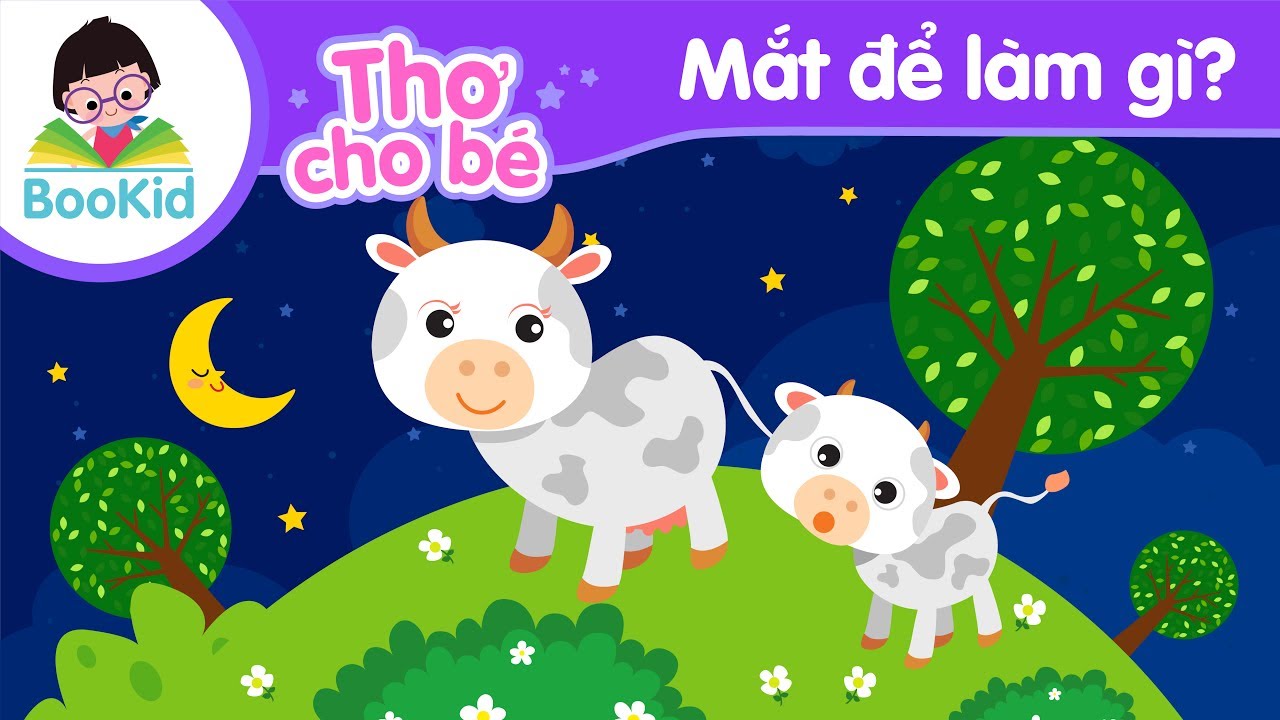 mắt