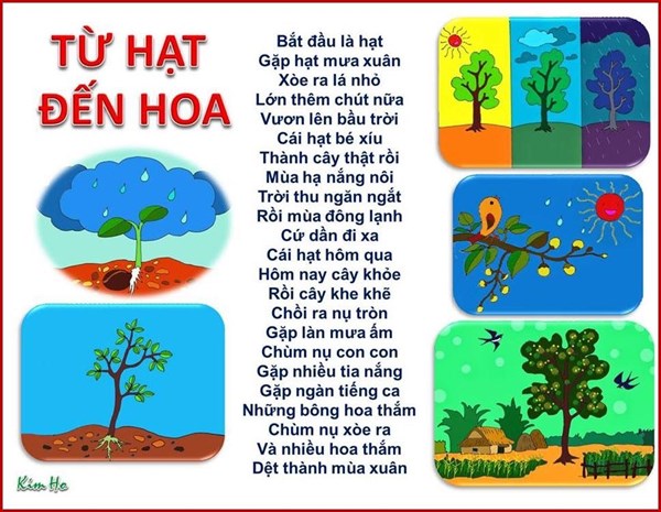 tu hat den hoa 263202011