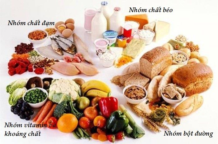 THỰC ĐƠN CHO BÉ