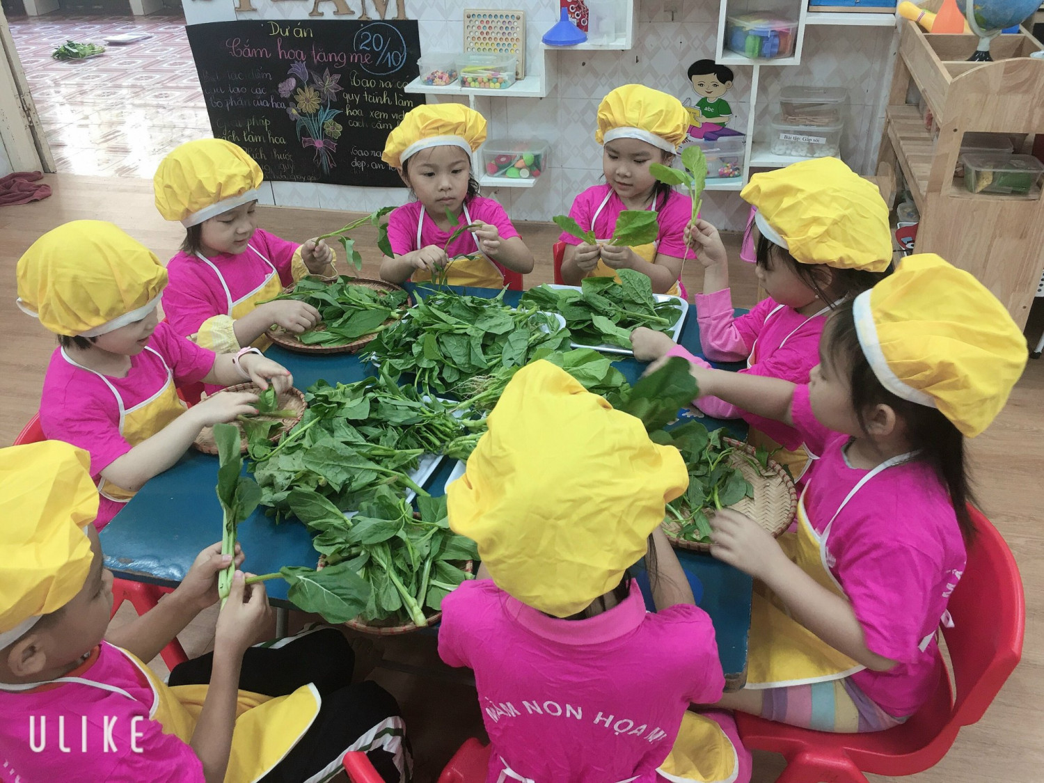 VÀO BẾP CÙNG CÔ