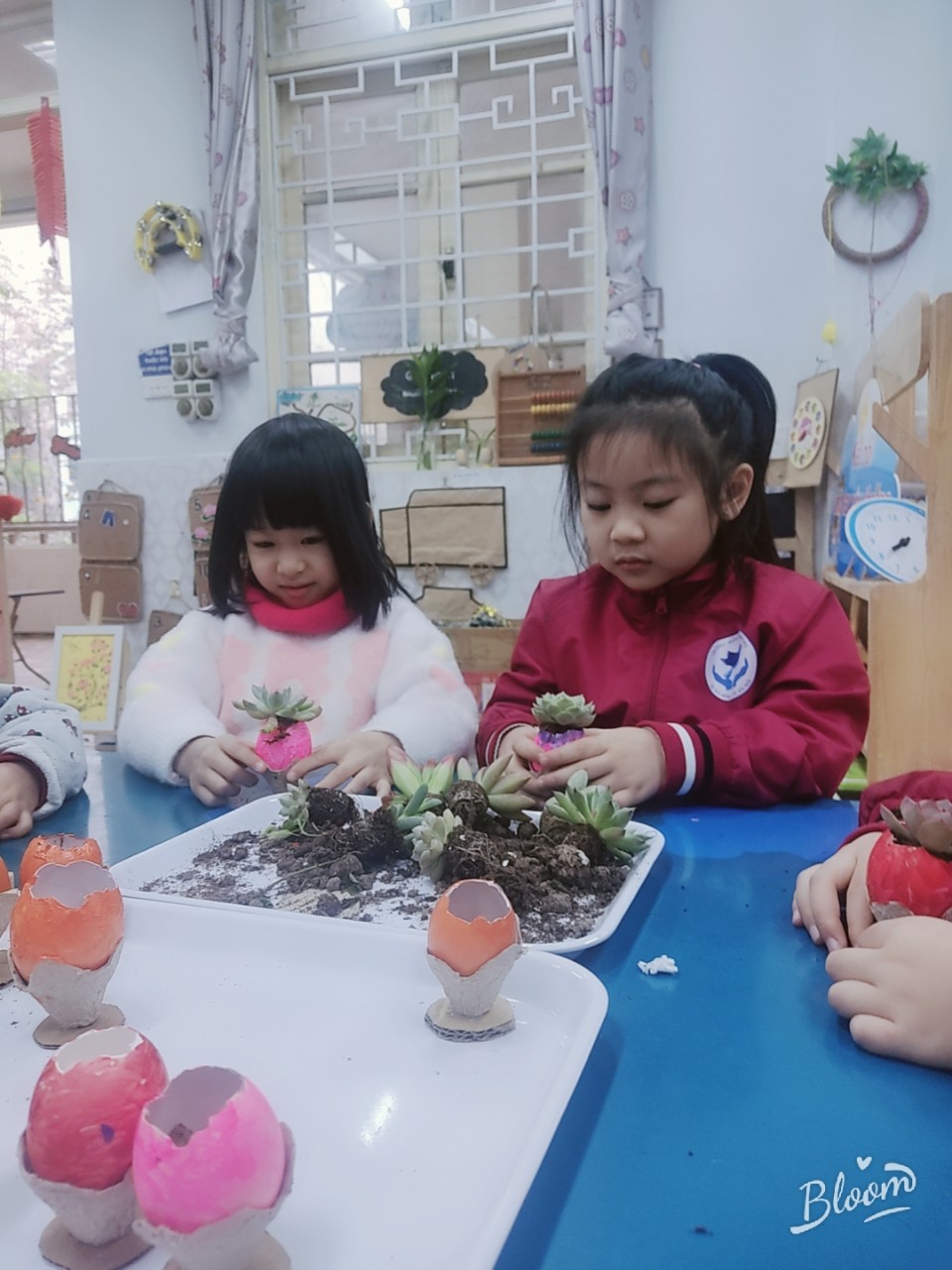Trải nghiệm trồng cây trong vỏ trứng